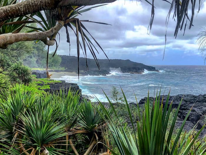 moving to a tropical island – Reunion moving to a tropical island - Reunion