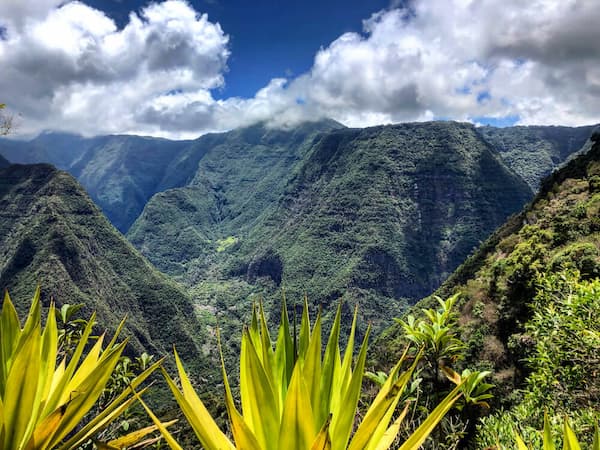 moving to a tropical island reunion