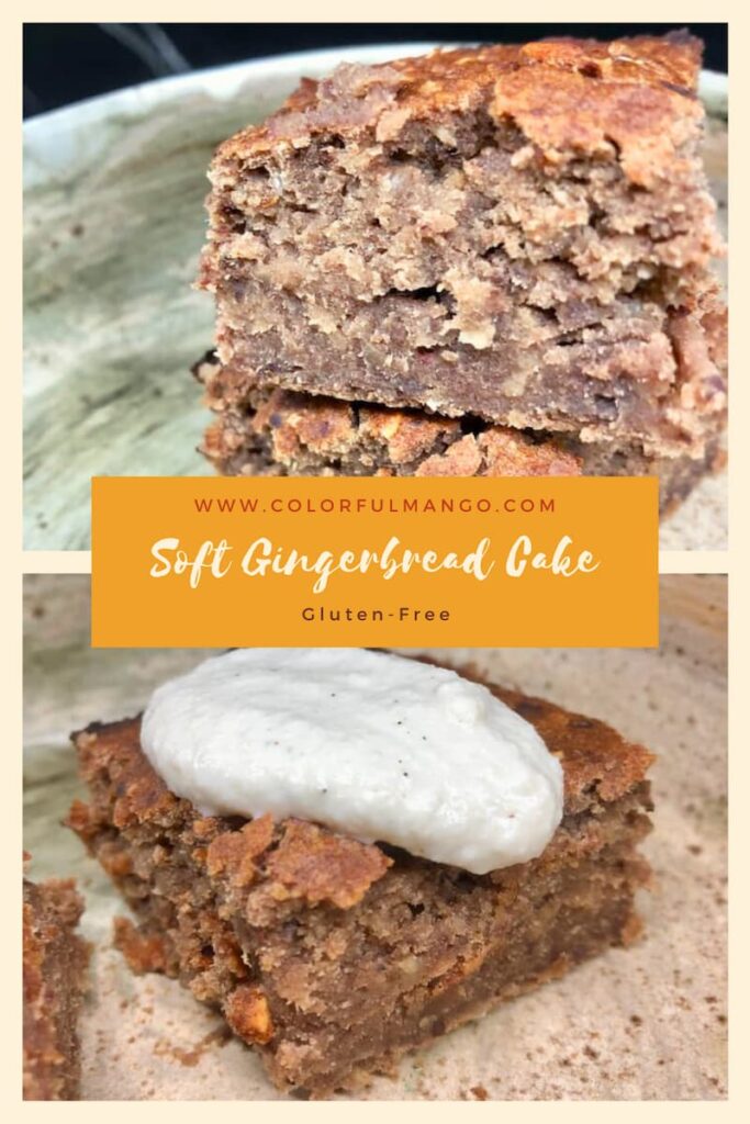 Gluten-Free Soft Gingerbread (1)