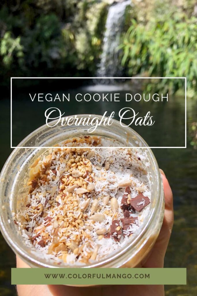 Vegan Cookie Dough Overnight Oats (1)