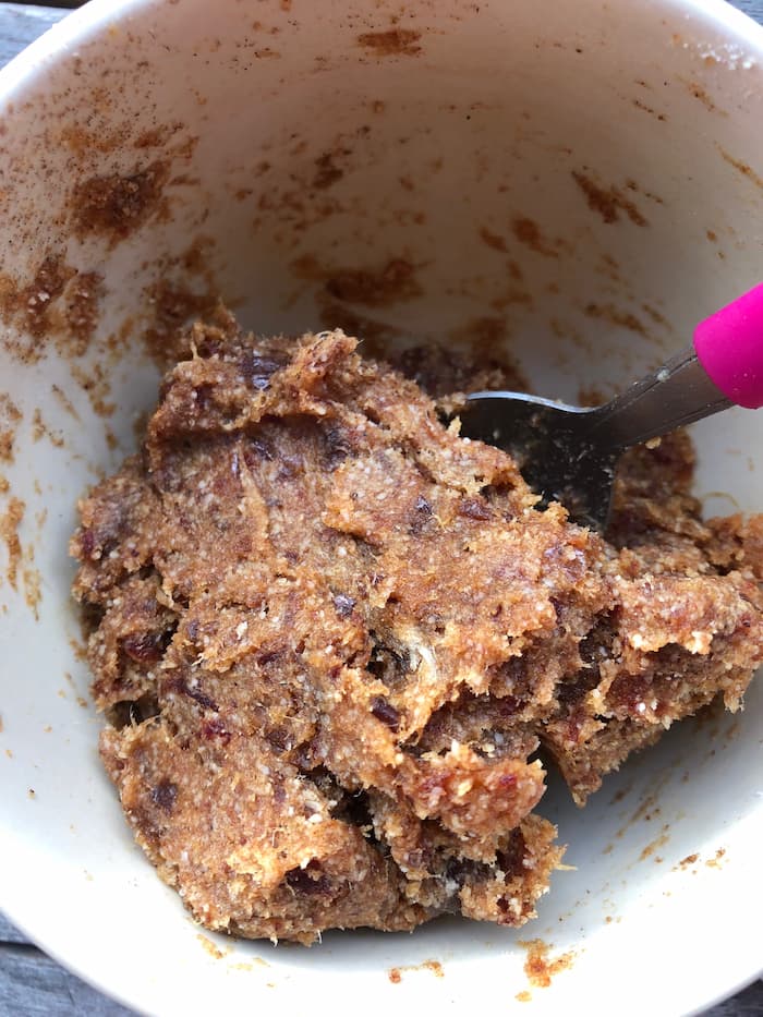 gluten free gingerbread cookie dough