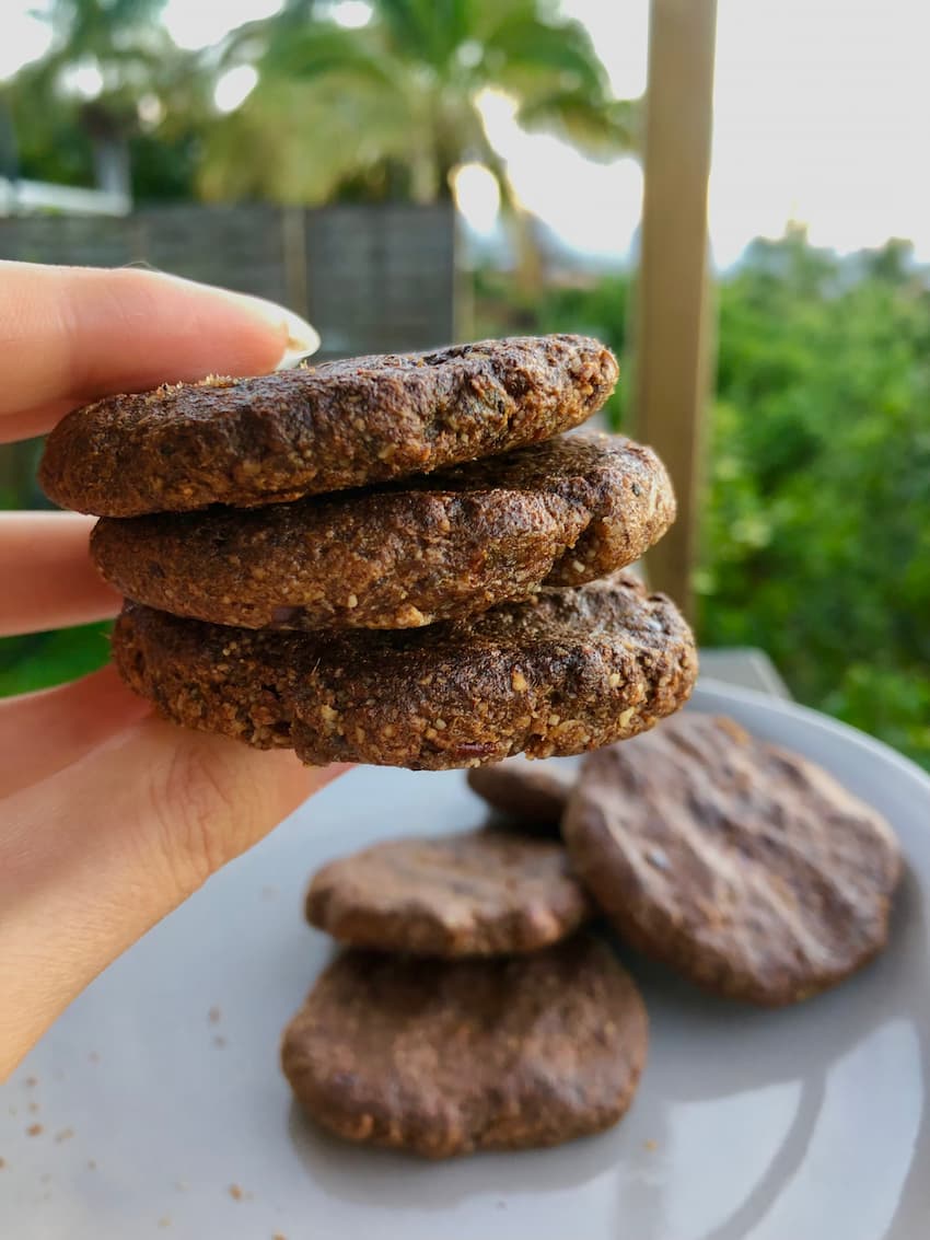 vegan gluten free gingerbread