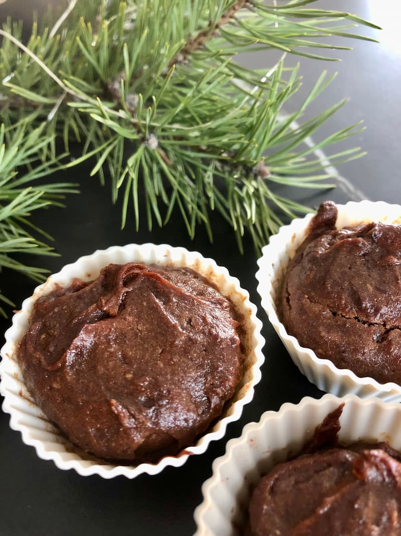 date chocolate muffins next to pine tree branch
