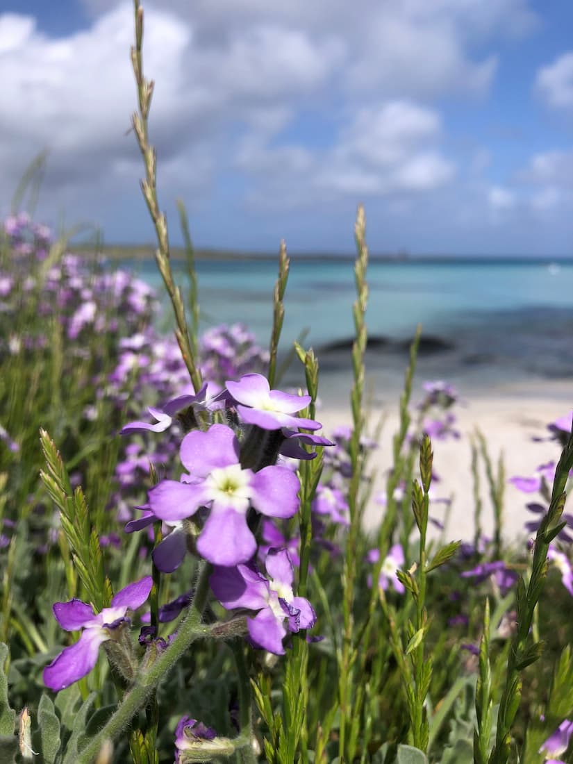Sardinia, Italy beach